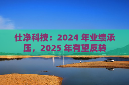 仕净科技：2024 年业绩承压，2025 年有望反转