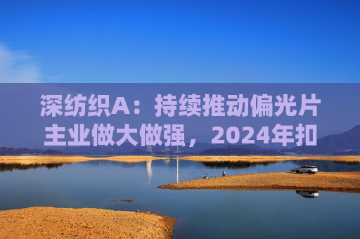 深纺织A：持续推动偏光片主业做大做强，2024年扣非归母净利润增长23.58%