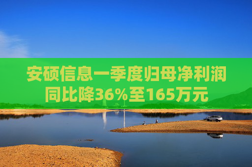 安硕信息一季度归母净利润同比降36%至165万元