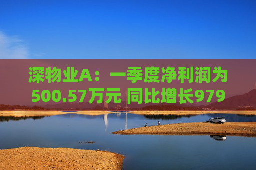 深物业A：一季度净利润为500.57万元 同比增长979.79%