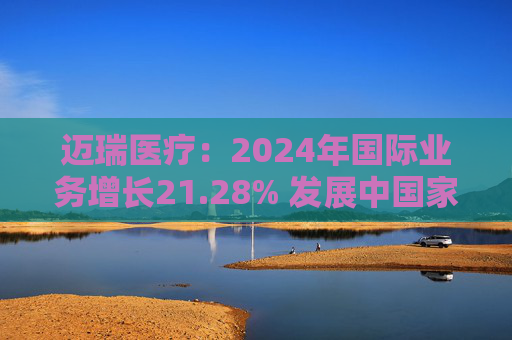 迈瑞医疗：2024年国际业务增长21.28% 发展中国家成重要增长引擎