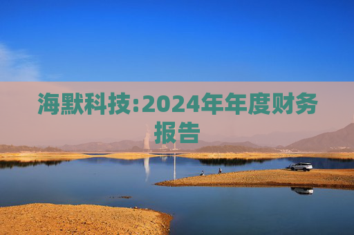 海默科技:2024年年度财务报告