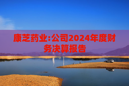 康芝药业:公司2024年度财务决算报告