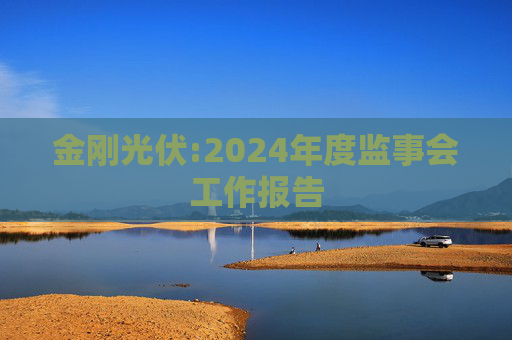 金刚光伏:2024年度监事会工作报告