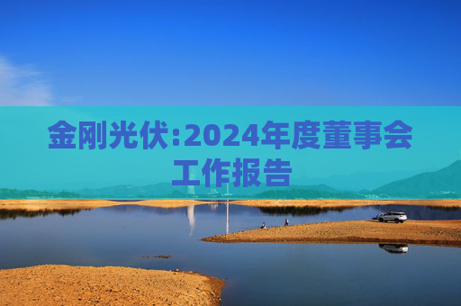 金刚光伏:2024年度董事会工作报告