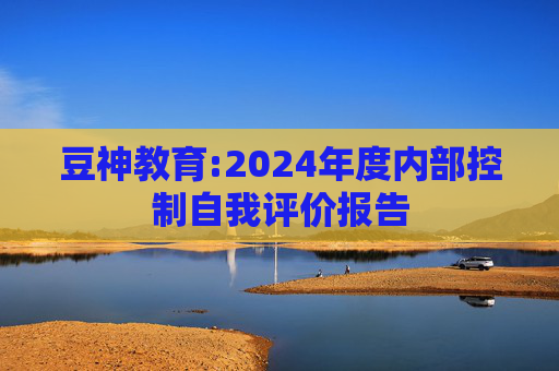 豆神教育:2024年度内部控制自我评价报告  第1张