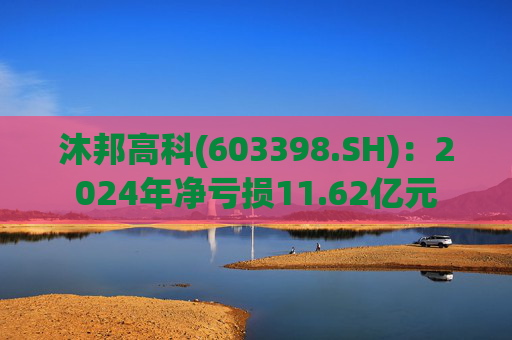 沐邦高科(603398.SH)：2024年净亏损11.62亿元