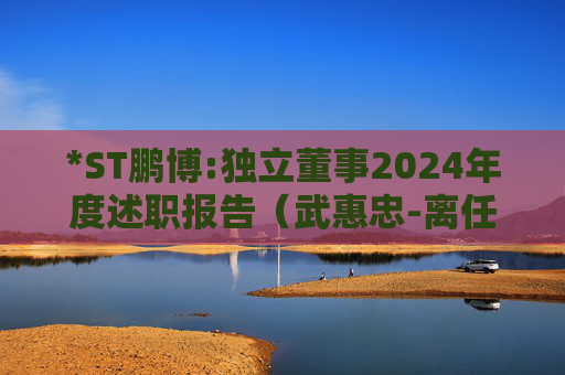 *ST鹏博:独立董事2024年度述职报告（武惠忠-离任）