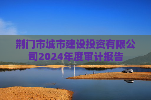 荆门市城市建设投资有限公司2024年度审计报告