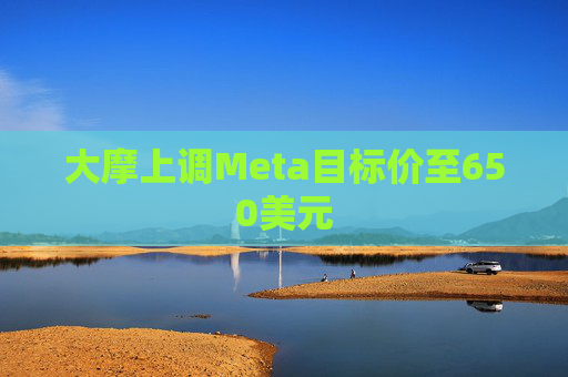 大摩上调Meta目标价至650美元  第1张