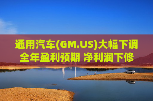 通用汽车(GM.US)大幅下调全年盈利预期 净利润下修至82亿-101亿美元