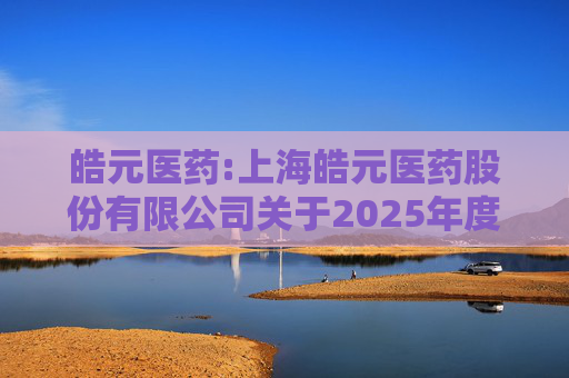 皓元医药:上海皓元医药股份有限公司关于2025年度日常关联交易预计的公告