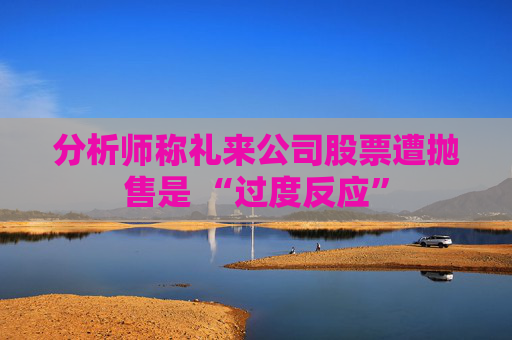 分析师称礼来公司股票遭抛售是 “过度反应”