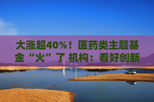 大涨超40%！医药类主题基金“火”了 机构：看好创新药投资机会