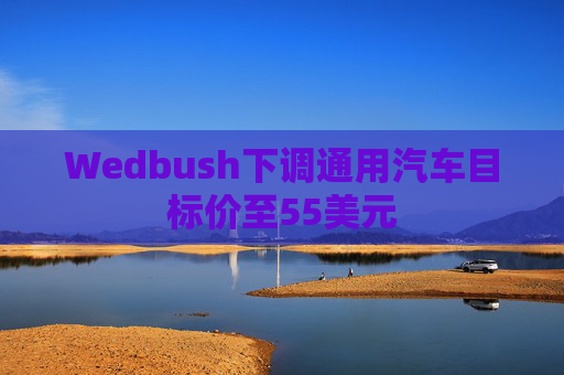 Wedbush下调通用汽车目标价至55美元