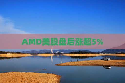 AMD美股盘后涨超5%