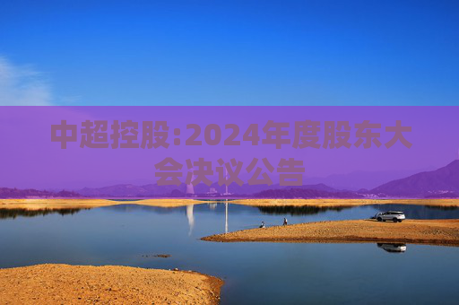 中超控股:2024年度股东大会决议公告
