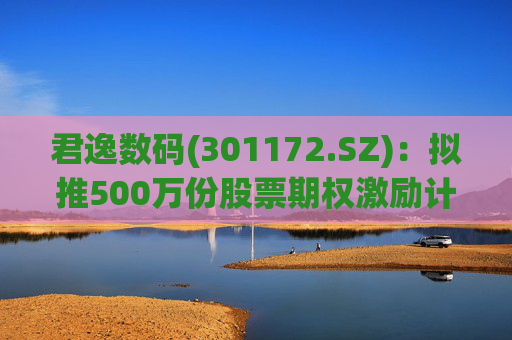 君逸数码(301172.SZ)：拟推500万份股票期权激励计划