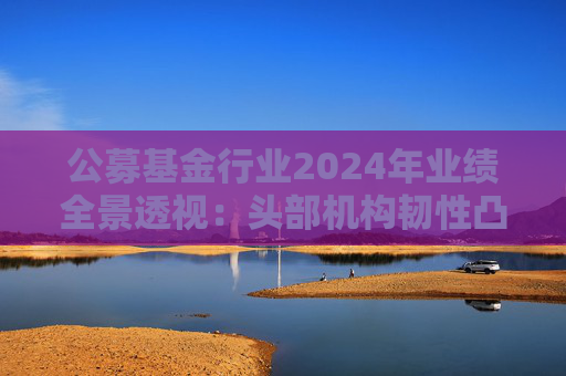 公募基金行业2024年业绩全景透视：头部机构韧性凸显 中小公司差异化突围