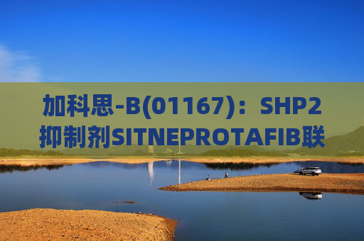 加科思-B(01167)：SHP2抑制剂SITNEPROTAFIB联用研究数据发表于学术期刊