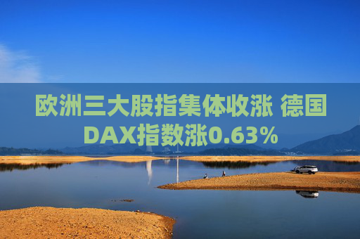 欧洲三大股指集体收涨 德国DAX指数涨0.63%