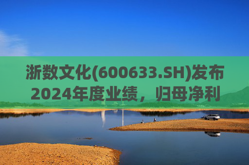 浙数文化(600633.SH)发布2024年度业绩，归母净利润5.12亿元，同比下降22.84%  第1张