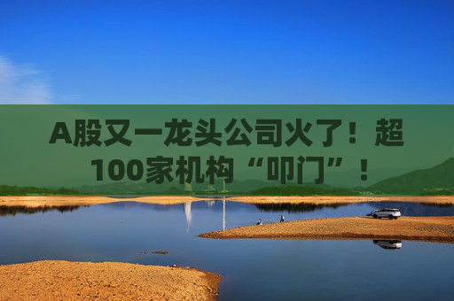 A股又一龙头公司火了！超100家机构“叩门”！