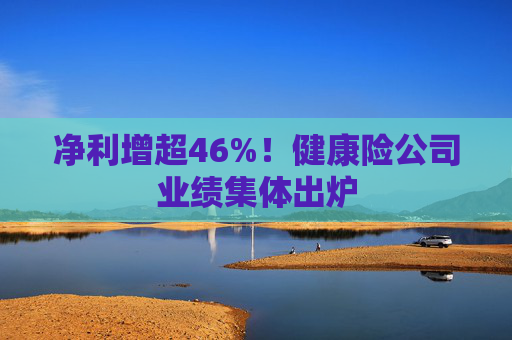 净利增超46%！健康险公司业绩集体出炉