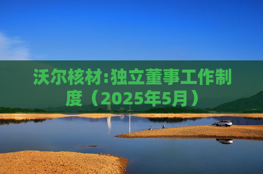 沃尔核材:独立董事工作制度（2025年5月）