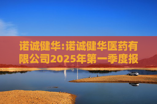 诺诚健华:诺诚健华医药有限公司2025年第一季度报告