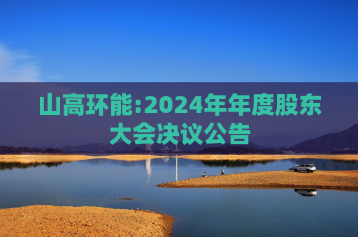 山高环能:2024年年度股东大会决议公告