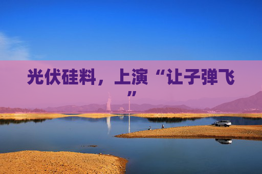 光伏硅料，上演“让子弹飞”