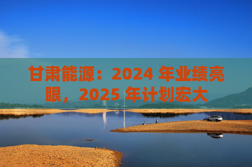 甘肃能源：2024 年业绩亮眼，2025 年计划宏大
