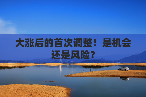 大涨后的首次调整！是机会还是风险？