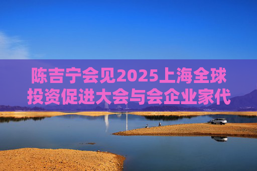 陈吉宁会见2025上海全球投资促进大会与会企业家代表