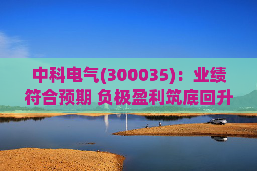 中科电气(300035)：业绩符合预期 负极盈利筑底回升