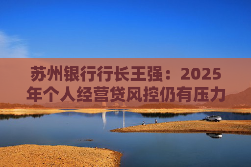 苏州银行行长王强：2025年个人经营贷风控仍有压力，但不会造成冲击