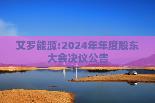 艾罗能源:2024年年度股东大会决议公告