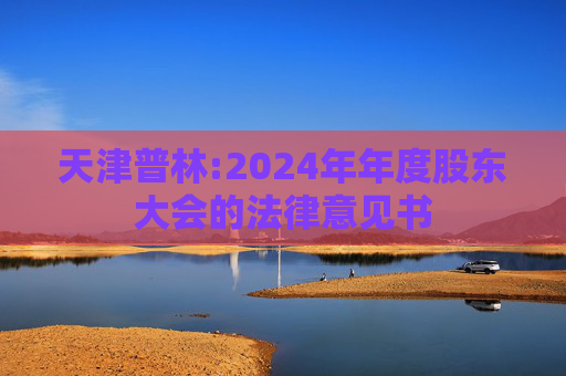 天津普林:2024年年度股东大会的法律意见书