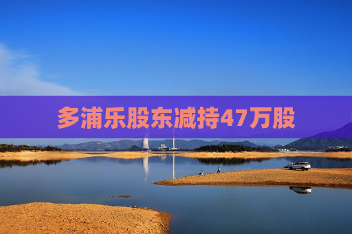 多浦乐股东减持47万股  第1张