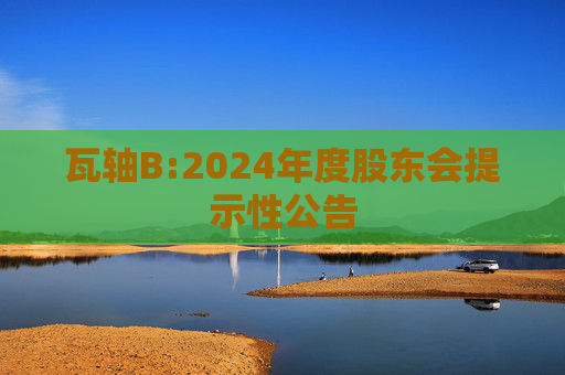瓦轴B:2024年度股东会提示性公告  第1张
