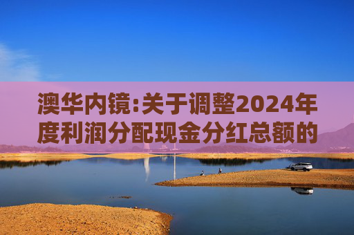 澳华内镜:关于调整2024年度利润分配现金分红总额的公告