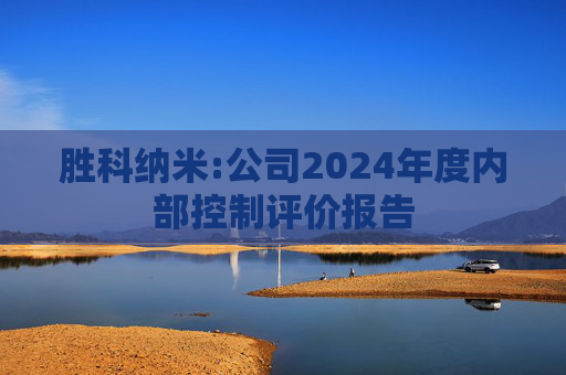 胜科纳米:公司2024年度内部控制评价报告