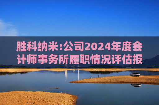 胜科纳米:公司2024年度会计师事务所履职情况评估报告  第1张