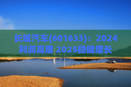 长城汽车(601633)：2024利润高增 2025稳健增长  第1张