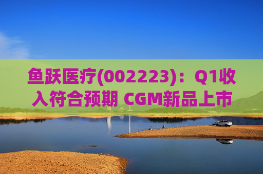 鱼跃医疗(002223)：Q1收入符合预期 CGM新品上市丰富增长动能
