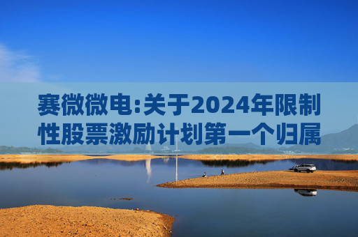 赛微微电:关于2024年限制性股票激励计划第一个归属期归属条件成就的公告