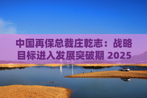 中国再保总裁庄乾志：战略目标进入发展突破期 2025年非常关键