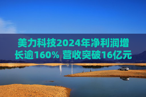 美力科技2024年净利润增长逾160% 营收突破16亿元 第1张 美力科技2024年净利润增长逾160% 营收突破16亿元 第1张