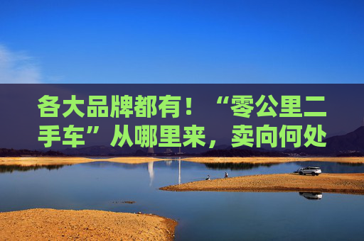 各大品牌都有！“零公里二手车”从哪里来，卖向何处，影响有多大？